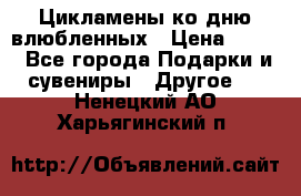 Цикламены ко дню влюбленных › Цена ­ 180 - Все города Подарки и сувениры » Другое   . Ненецкий АО,Харьягинский п.